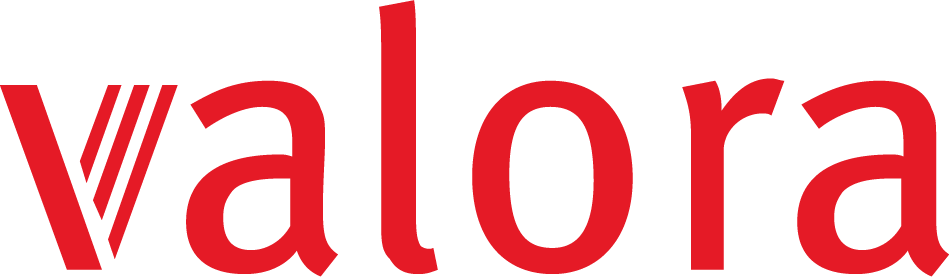 Bsgroup-Data_Analytics-Valora-Logo